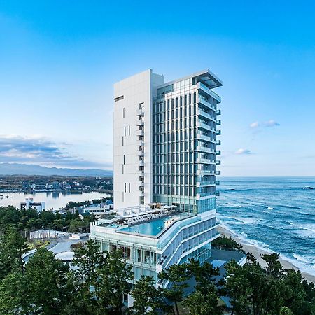 Seamarq Hotel 江陵市 エクステリア 写真