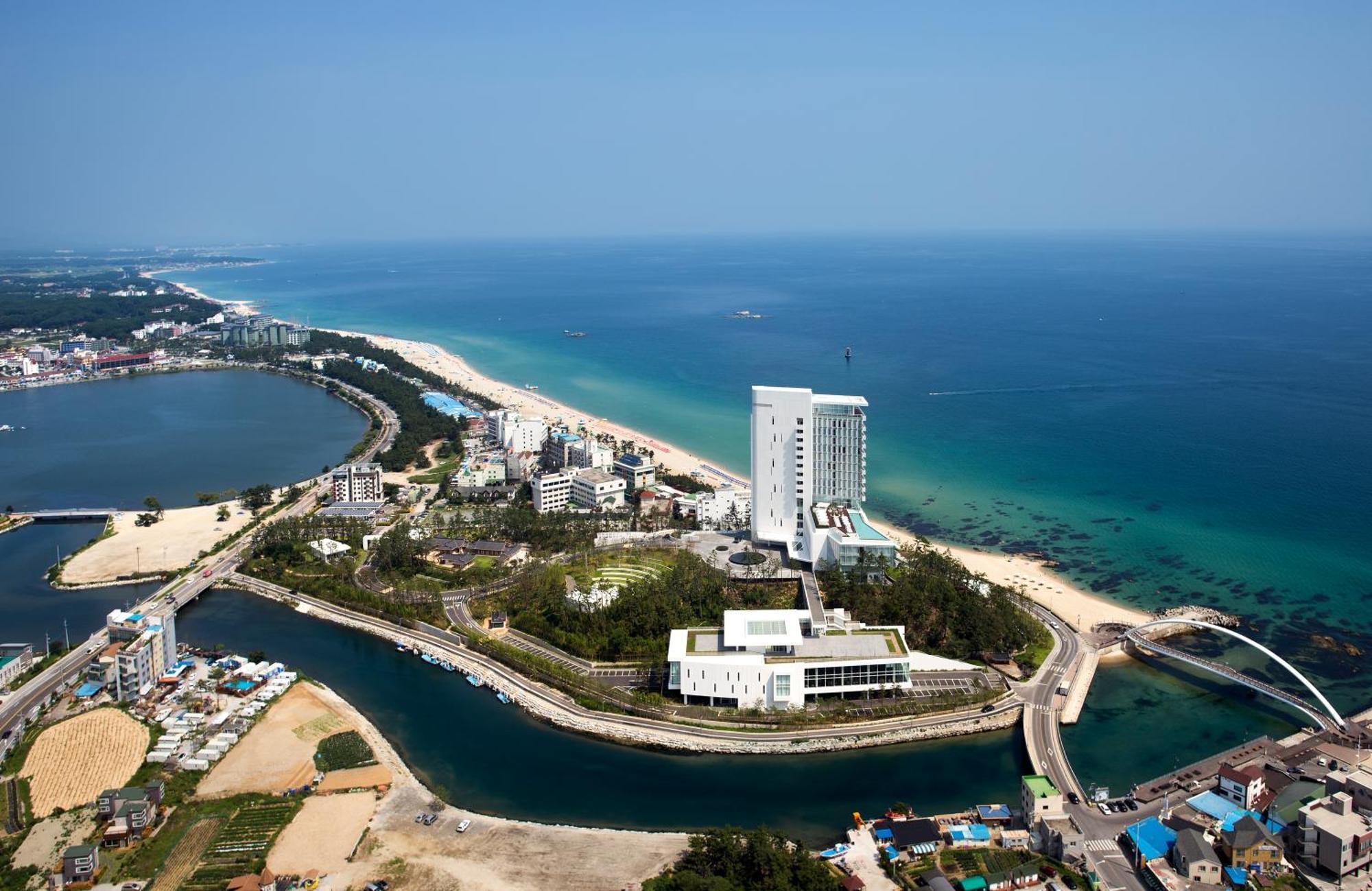 Seamarq Hotel 江陵市 エクステリア 写真